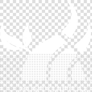 White Image Not Visible On White Background    Cabesto  HD Png Download