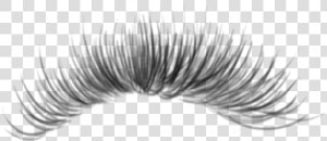  eyelashes  freetoedit   Eyelash Extensions  HD Png Download