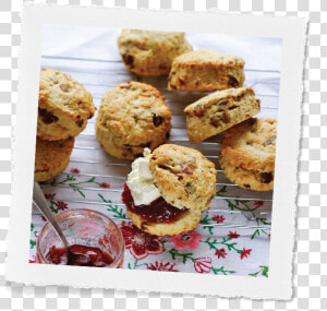 Mixed Fruit Oat Scones   Muffin  HD Png Download