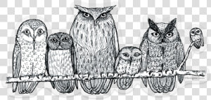Owls On Branch Sticker Outline  HD Png Download