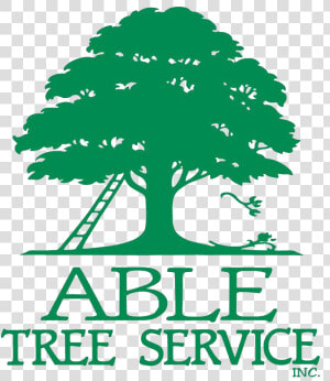 Able Tree Service  HD Png Download