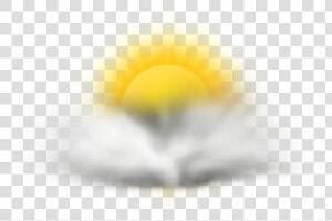 Oxeye Daisy  HD Png Download