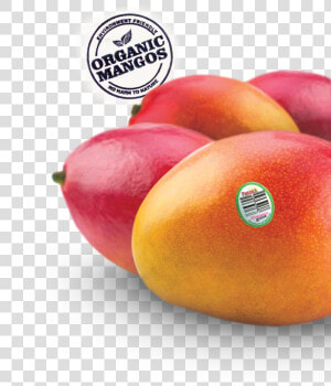 Nectarines  HD Png Download