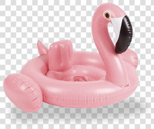Floatie Png  Transparent Png