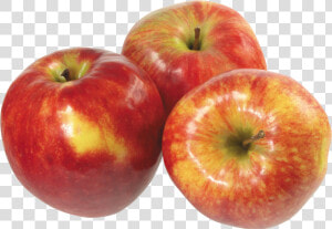 Apple Png   Apples Transparent Png  Png Download