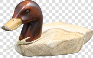 Stone Age Creations Duck  HD Png Download