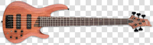 Sdgr Bass 5 String  HD Png Download