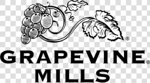 Black And White Grapevine  HD Png Download