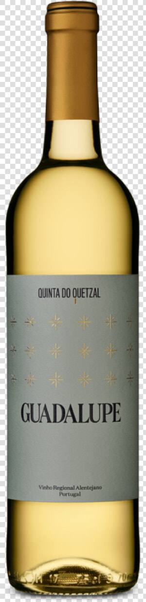 Quetzal Png  Transparent Png