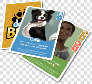 Img   Companion Dog  HD Png Download