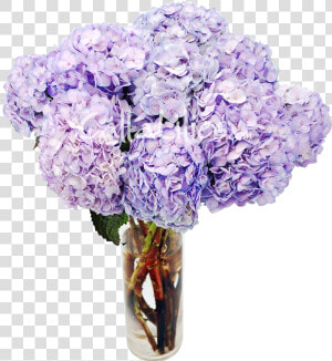 Tinted Hydrangeas Wedding Flowers  HD Png Download