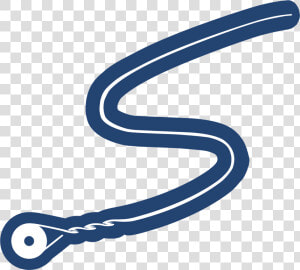 Stringjoy   Stringjoy Logo  HD Png Download