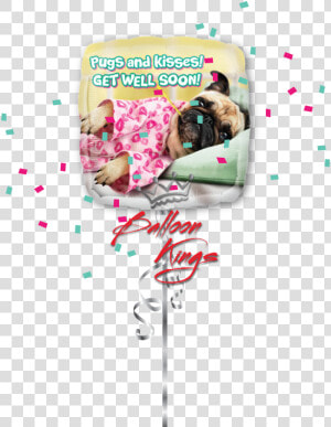 Get Well Pugs  amp  Kisses   Get Well Soon Pug  HD Png Download