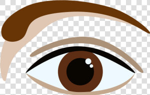 L shaped Brow  HD Png Download