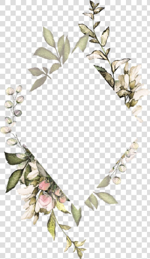 Clip Art Silver Eucalyptus   Flower Frame Transparent Background  HD Png Download