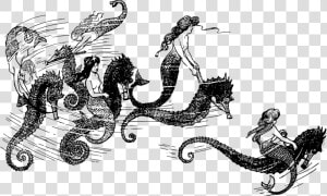 Fiction chariot art   Mermaid Riding A Seahorse  HD Png Download