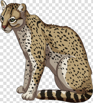 Clip Art Free Download Creazilla   Ocelote Png  Transparent Png