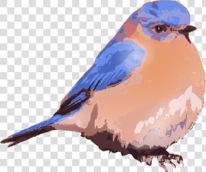Eastern Bluebird   Clip Art Eastern Bluebird Art  HD Png Download
