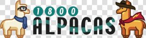 1800 Alpacas   Graphic Design  HD Png Download