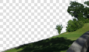 Navigating A Responsible Course   Oak  HD Png Download