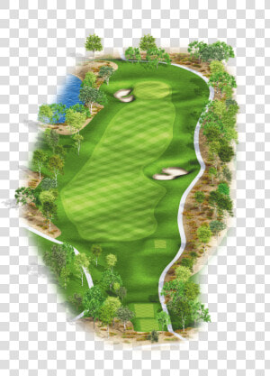 Transparent Trees Aerial View Png   Lawn  Png Download