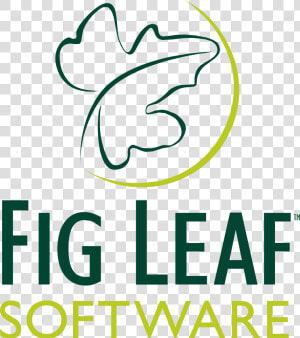 Fig Leaf  HD Png Download