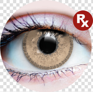 Primal® Rx Charm Chestnut Class   Loki Contacts  HD Png Download