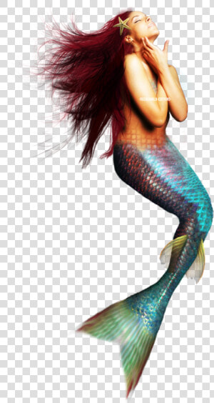 Thumb Image   Sirena Png  Transparent Png