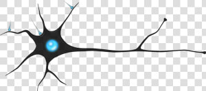 Thumb Image   Neuron Png  Transparent Png