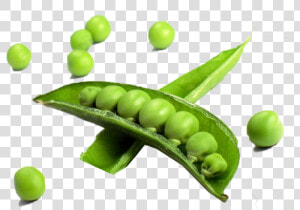 Pea Transparent Free Png   Vegetables In A Single  Png Download