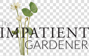 The Impatient Gardener   Floral Design  HD Png Download
