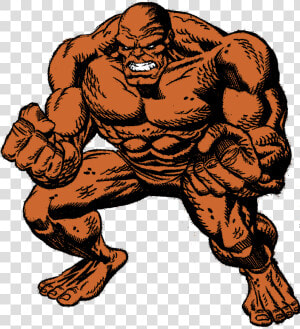Bodybuilding  HD Png Download
