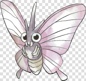 Pokemon That Looks Like A Butterfly  HD Png Download
