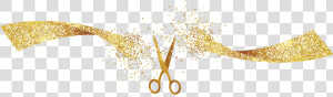 Educational Code Opening Dress Fashion Grand Clothing   Ribbon Grand Opening Png  Transparent Png