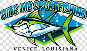 Pomacentridae  HD Png Download