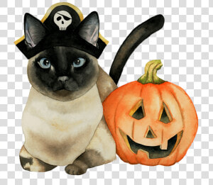 Halloween Siamese Cat  HD Png Download
