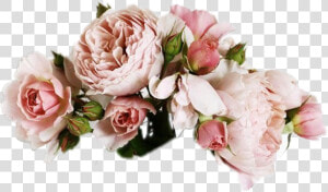  flower  wreath  coachella   Transparent Flower Aesthetic Png  Png Download