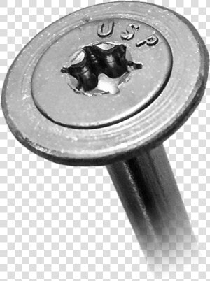 Black Washer Head Wood Screws  HD Png Download