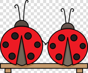 Transparent Ladybugs Png   Ladybug  Png Download