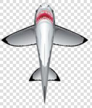 Image Of Great White Shark Kite   Kite  HD Png Download