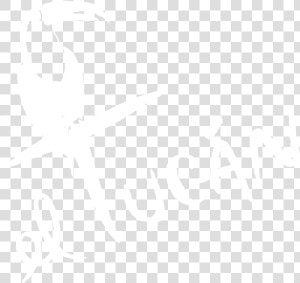 Eltucanmiami   Toucan  HD Png Download