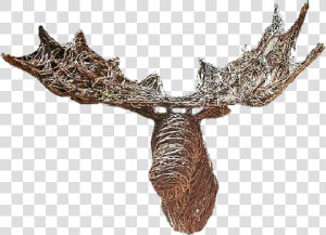 Grapevine Crafts  HD Png Download