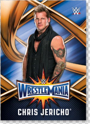 Chris Jericho 2017 Wwe Road To Wrestlemania Wrestlemania   Triple H 2017 Wallpaper Hd  HD Png Download