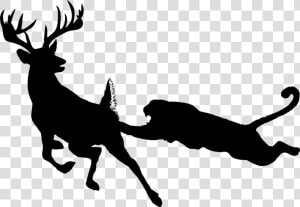 Wildlife silhouette deer   Lion On A Mountai Silhouette  HD Png Download