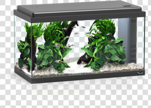 Aquarium 60 Led Bio  HD Png Download