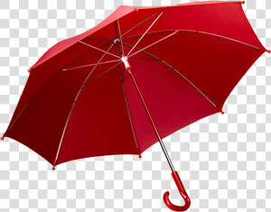 Umbrella Png   Umbrella  Transparent Png