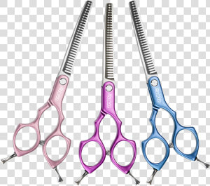 Asian Fusion Grooming  HD Png Download