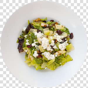 Grilled Shrimp Png  Transparent Png