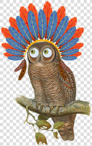 Owl  Vintage  Bird  Nature  Composing  Headdress   Owl  HD Png Download