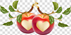 Transparent Fruits Clipart   Heart Shaped Apple Png  Png Download